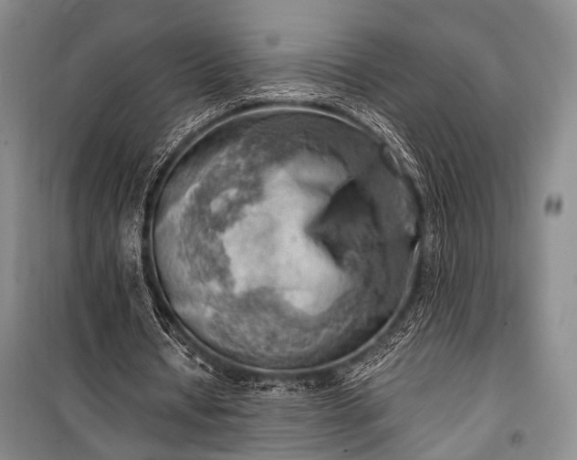 X0000100930434200807011225