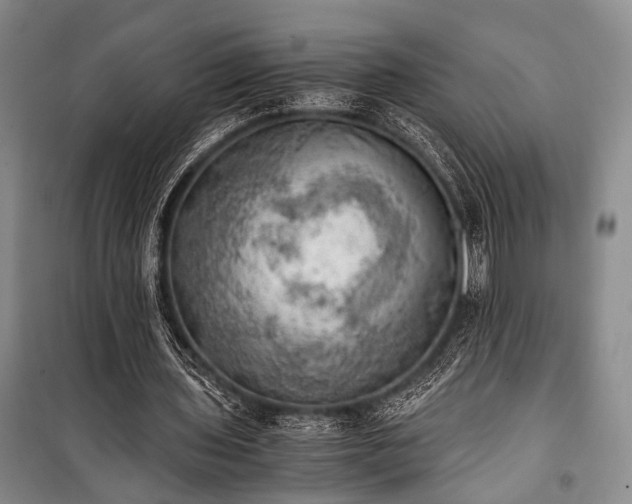 X0000100930435200807011225