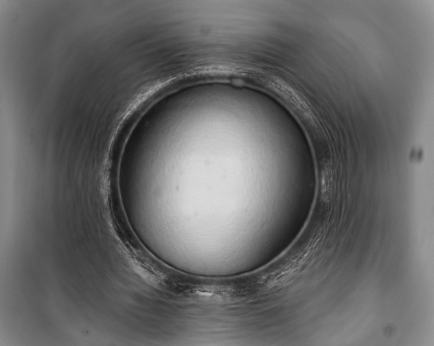 X0000100930436200807011225