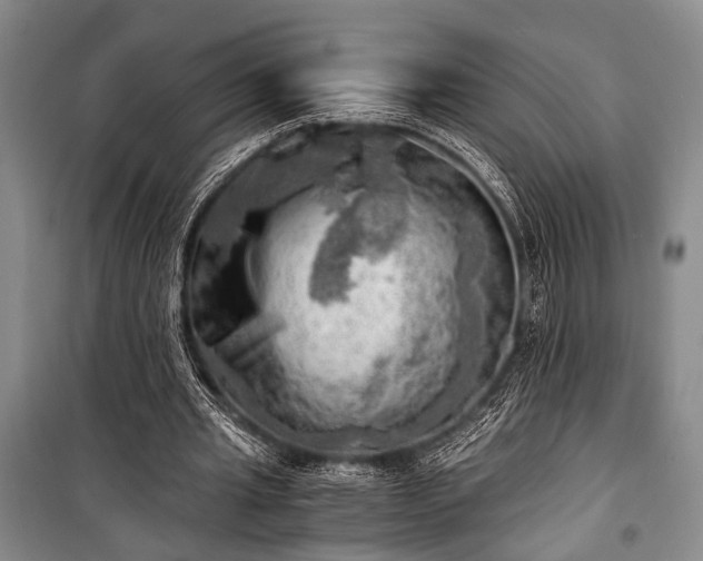 X0000100930437200807011225