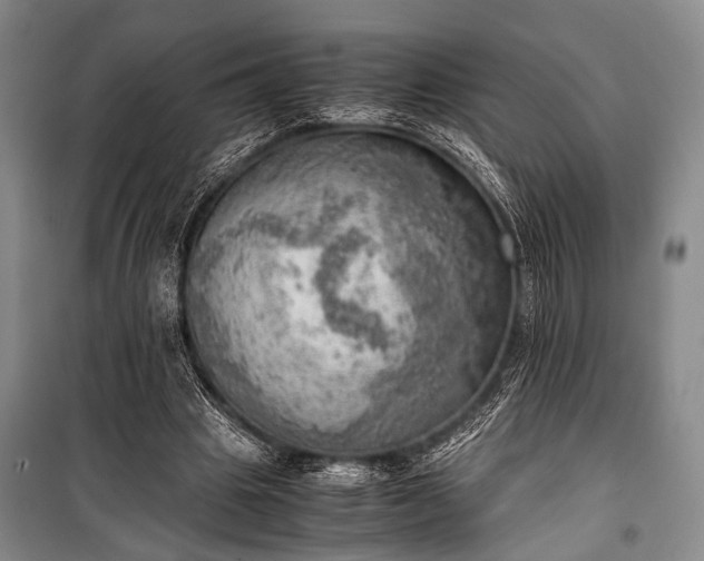 X0000100930441200807011225