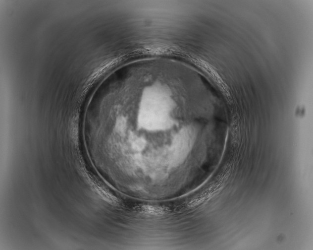 X0000100930442200807011225