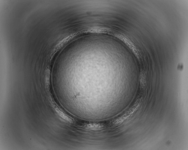 X0000100930445200807011225