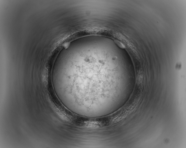 X0000100930448200807011225