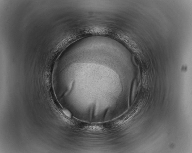 X0000100930449200807011225