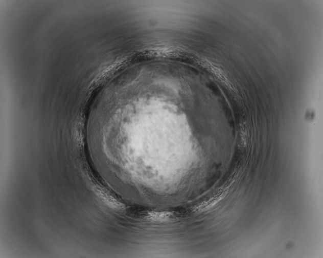 X0000100930450200807011225