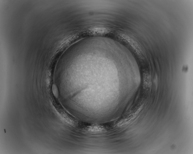 X0000100930451200807011225