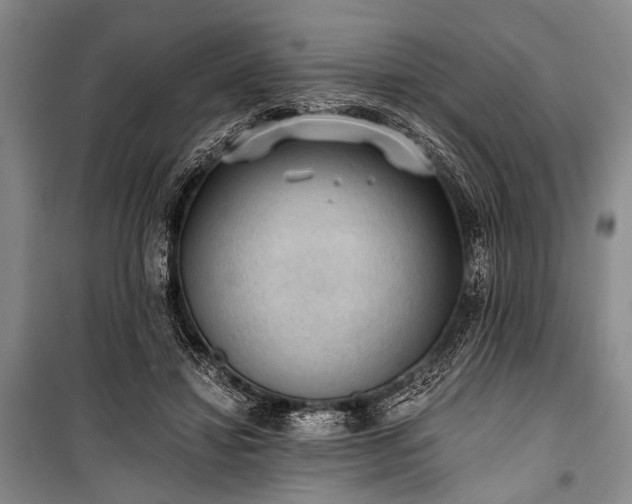 X0000100930452200807011225