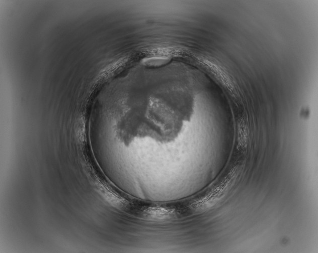 X0000100930453200807011225