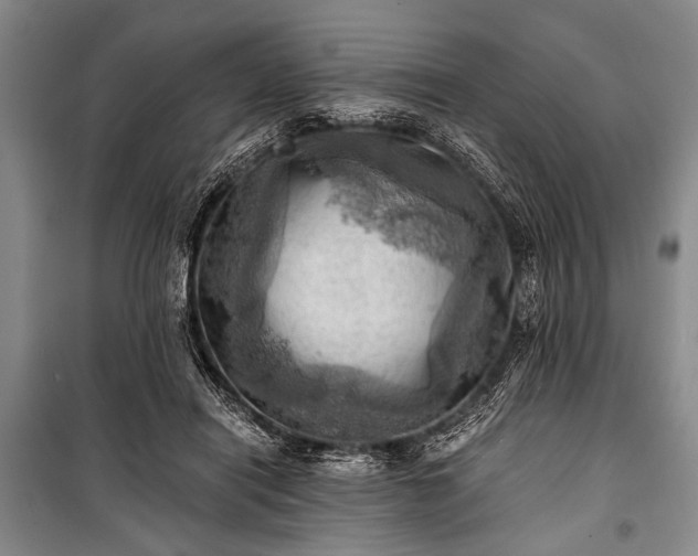 X0000100930454200807011225