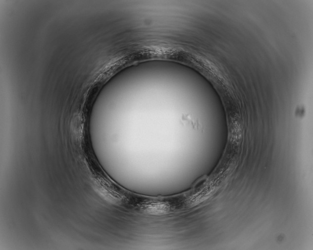 X0000100930456200807011225