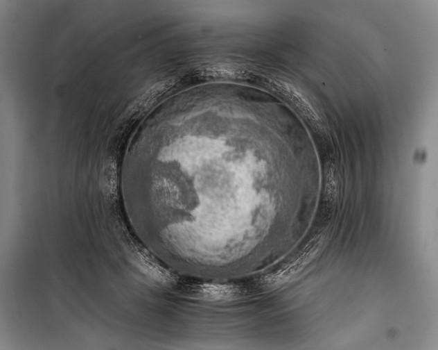 X0000100930457200807011225