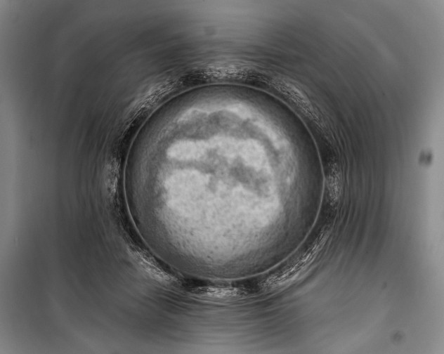 X0000100930458200807011225