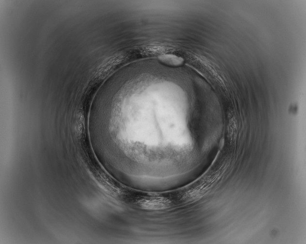 X0000100930459200807011225