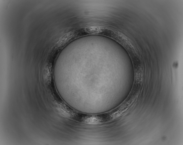 X0000100930460200807011225