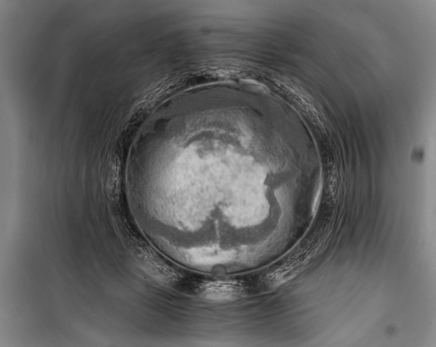 X0000100930461200807011225