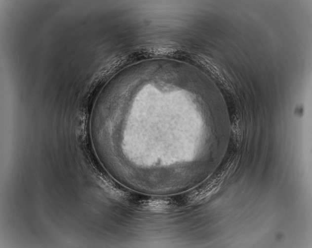 X0000100930462200807011225