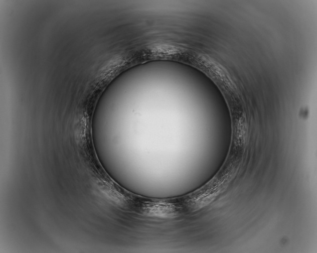 X0000100930463200807011225