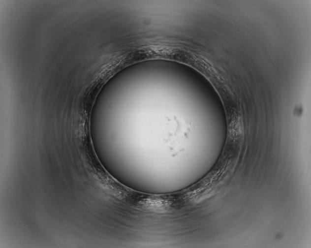 X0000100930464200807011225