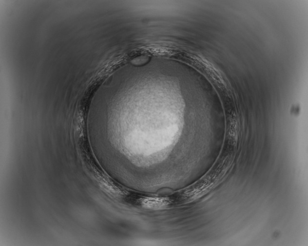 X0000100930465200807011225