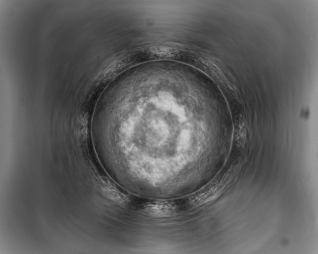 X0000100930466200807011226