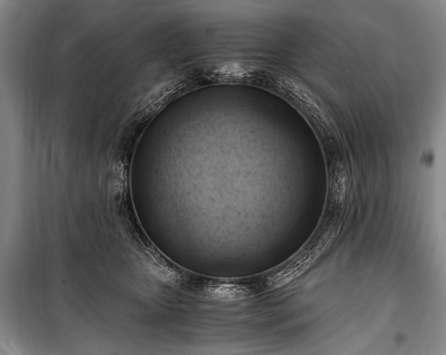 X0000100930467200807011226