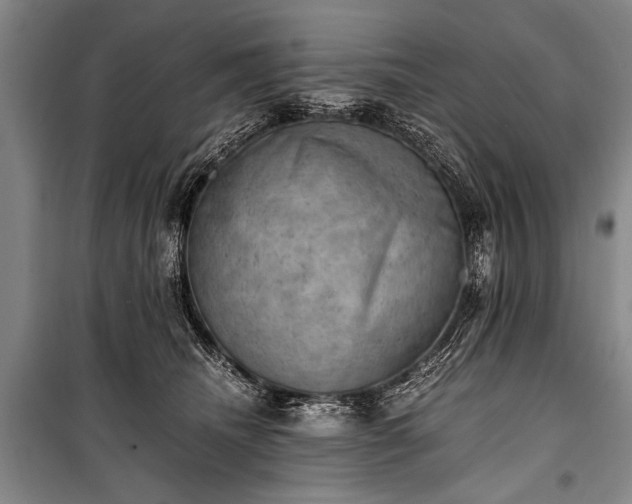 X0000100930468200807011226