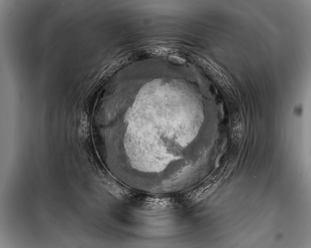 X0000100930469200807011226