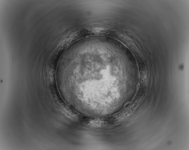 X0000100930470200807011226