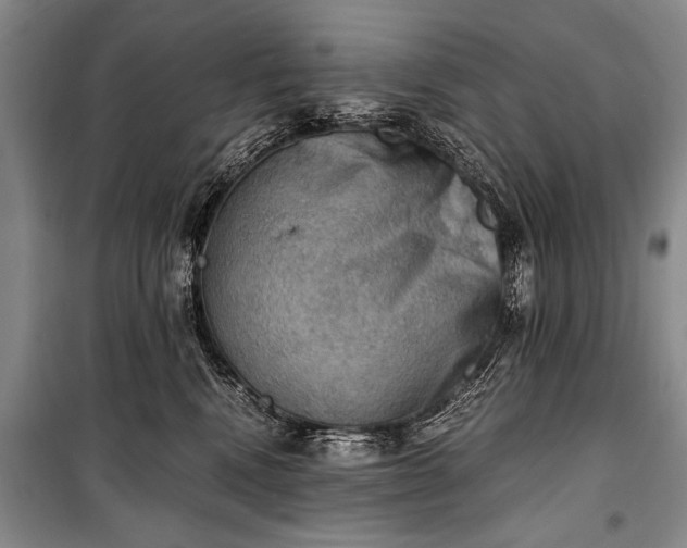 X0000100930472200807011226