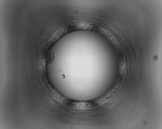 X0000100930473200807011226