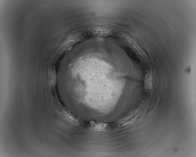 X0000100930474200807011226