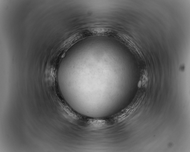 X0000100930476200807011226