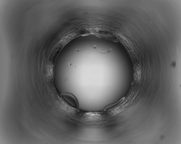 X0000100930477200807011226