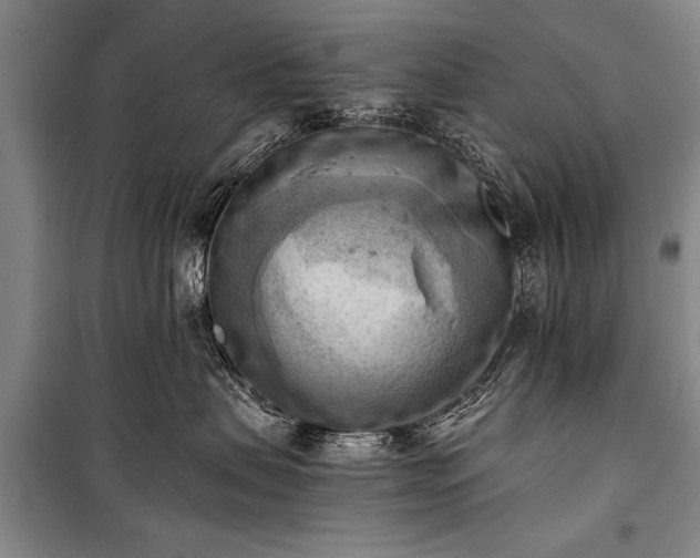 X0000100930479200807011226