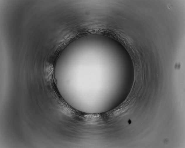 X0000100930480200807011226