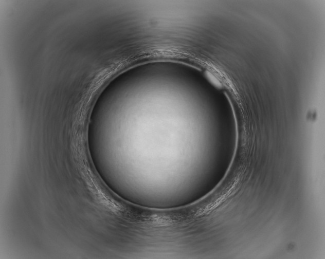 X0000100930481200807011225