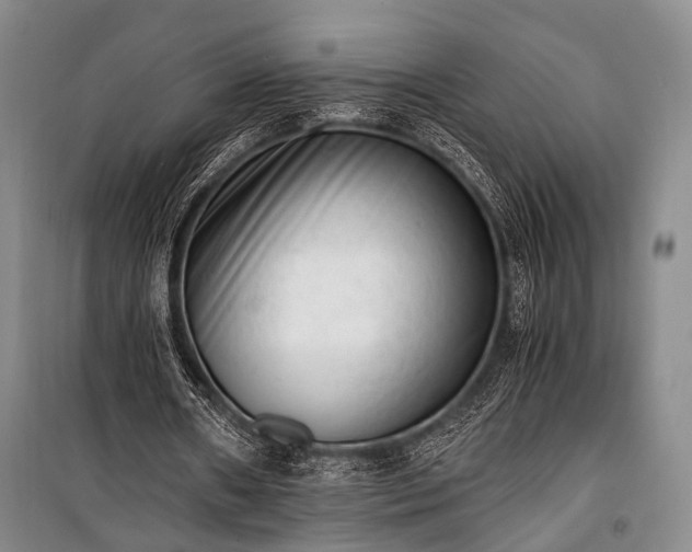 X0000100930482200807011225