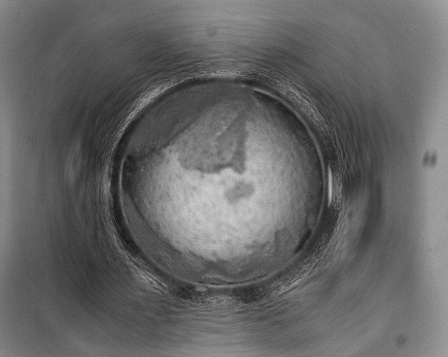 X0000100930483200807011225