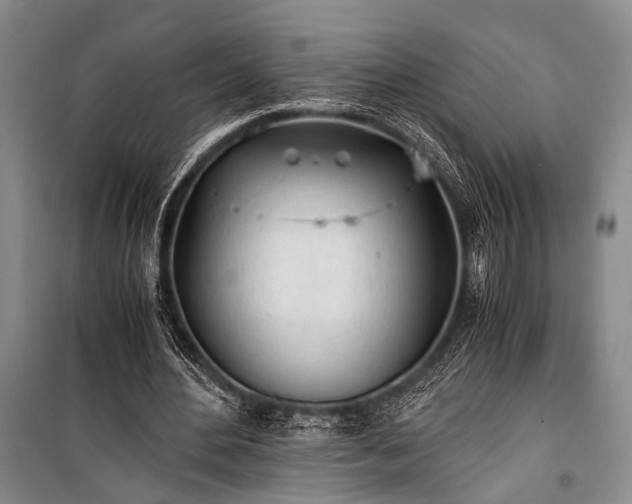 X0000100930484200807011225