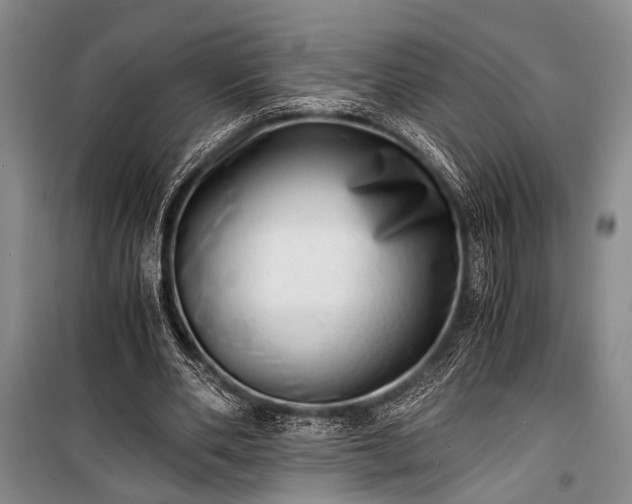 X0000100930486200807011225