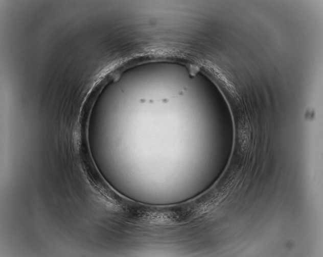 X0000100930488200807011225