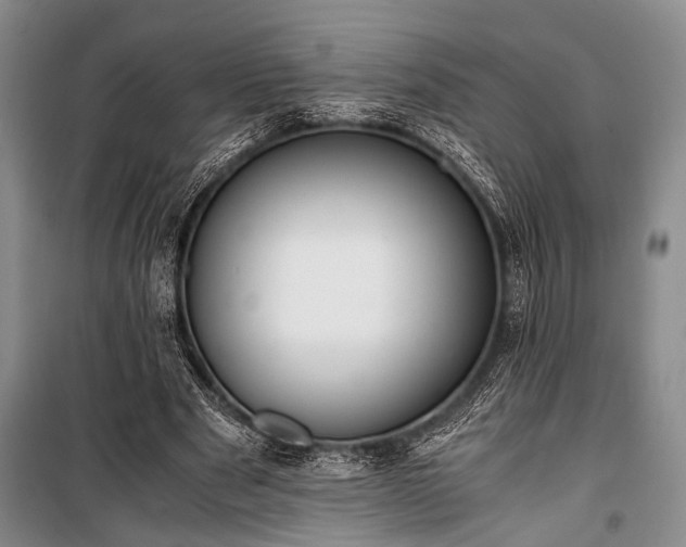 X0000100930489200807011225