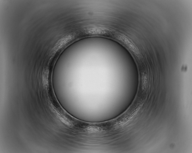 X0000100930490200807011225