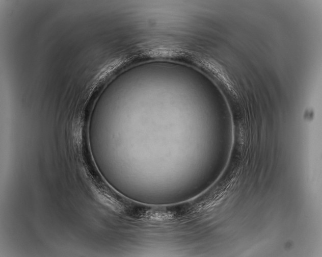 X0000100930491200807011225