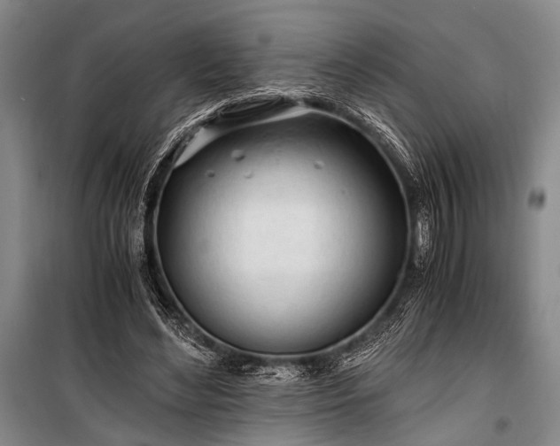 X0000100930492200807011225