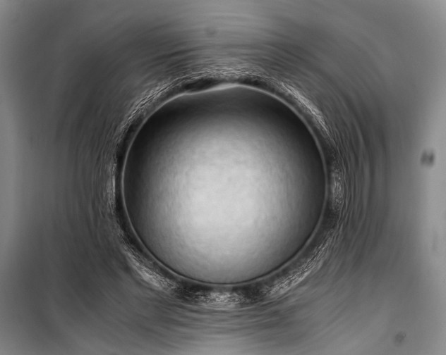 X0000100930493200807011225