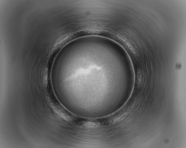 X0000100930494200807011225