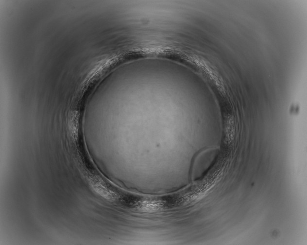 X0000100930495200807011225