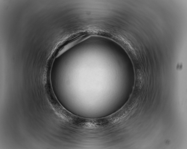 X0000100930496200807011225